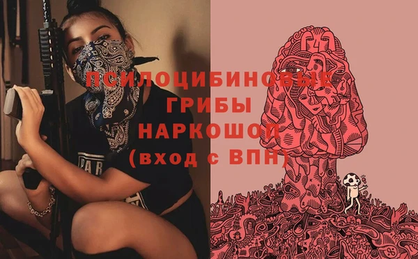 эйфоретик Баксан