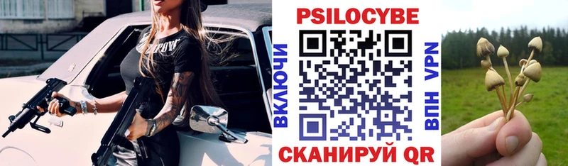 Галлюциногенные грибы мицелий  цены   Грязи 
